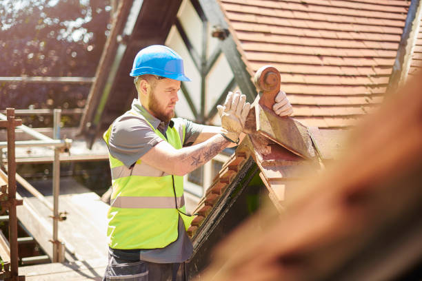 Best Roof Gutter Cleaning  in Poquoson, VA